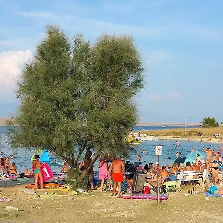 Проживание в семье Vjeko Вир