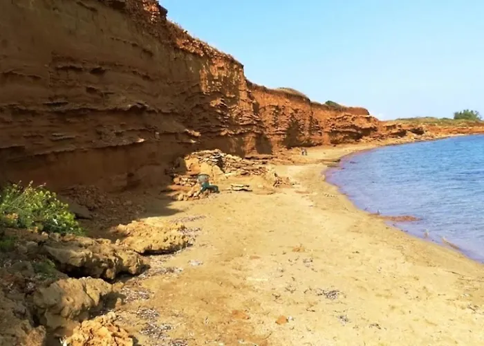 Vjeko Ostanak kod kuće *